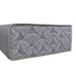 Salon Orthodorsal – Image 4