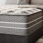 Orthodorsal – Image 2