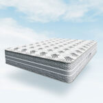 Orthodorsal – Image 3