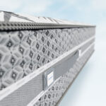 Orthodorsal – Image 5