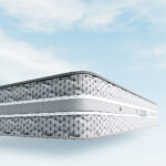 Orthodorsal – Image 6