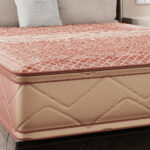 Elegance – Image 3